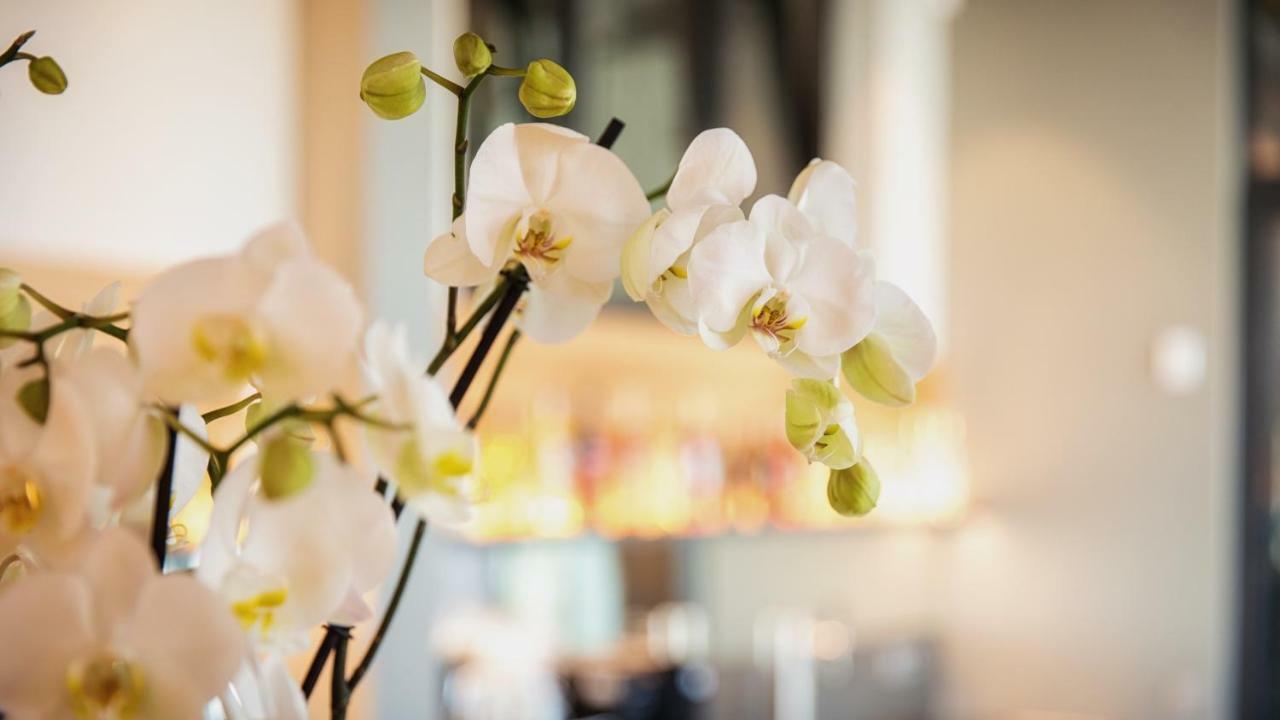 Heuboden Hotel Heu.Loft Freiburg Umkirch Kültér fotó
